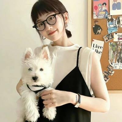 打扰伯格曼